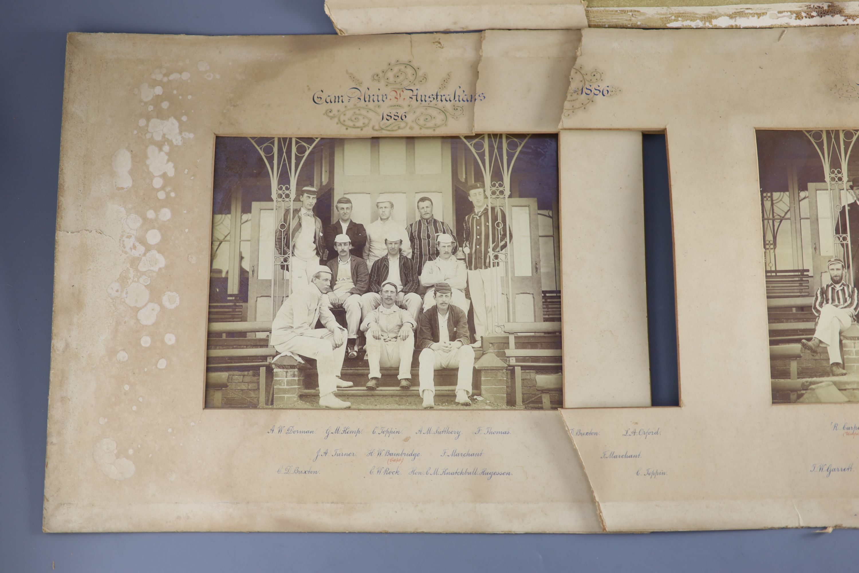 A set of three photographs of the Cambridge University Cricket 11 v Australians 1886, photographed by Hills & Saunders, overall 36 x 11